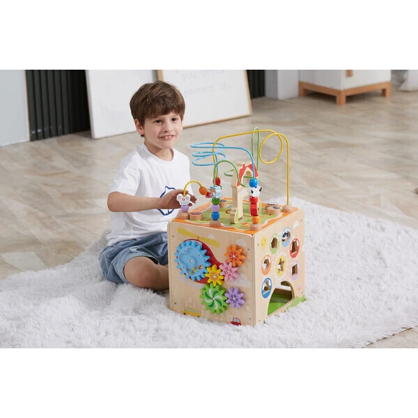 Cub montessori din lemn 5 în 1 12