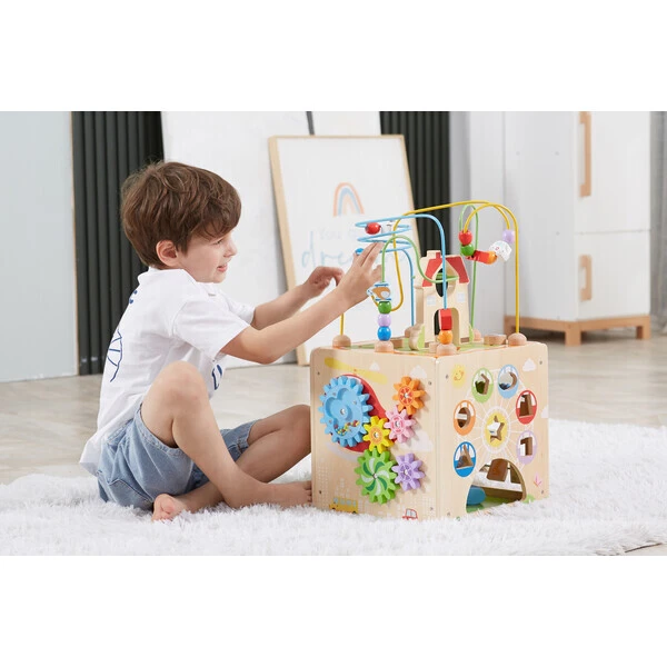 Cub montessori din lemn 5 în 1 13