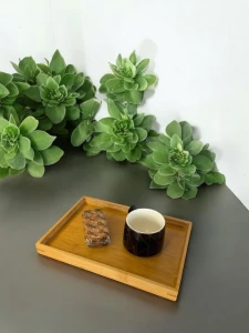 PLATOU DIN BAMBUS PENTRU SERVIRE 19×28 CM (M17-171)