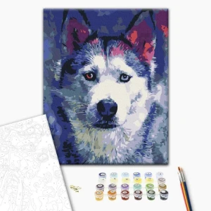 Pictură pe numere 30*40 сm (fără cutie) – privirea lui husky Thumbnail 2