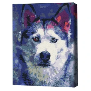 Pictură pe numere 30*40 сm (fără cutie) – privirea lui husky