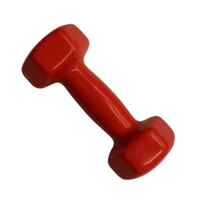 Ganteră pentru fitness,1 buc * 3 kg