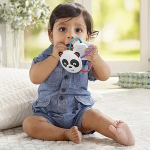Fisher price  zornăitoare cu dentitie "animăluț", în asortiment Thumbnail 7