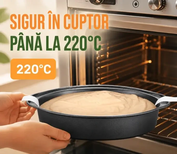 Forma de copt 24*22*5cm gt0517 2