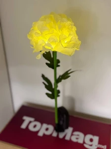 LAMPA SOLARA FLOARE 75CM (GT0502)