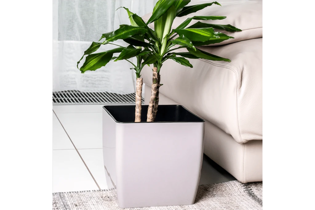 115084 ghiveci de flori cvadro 22*22*21 cm aleana 9