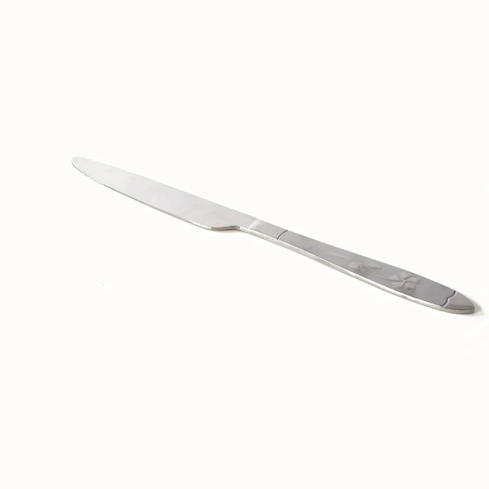 Cutit inox ambalat individual, 21.5 cm 2