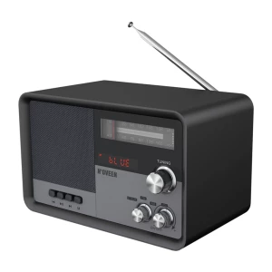 NOVEEN Portable Radio PR950 Black