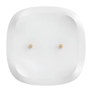 Sonoff Zigbee Water Leak Sensor SNZB-05P