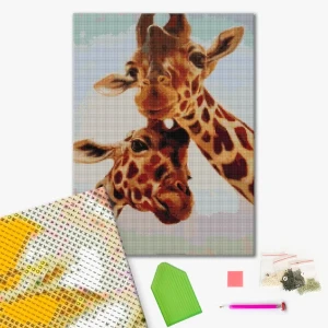 Mozaic cu diamante 40*50 сm (fără cutie) – suflete pereche, lucia heffernan Thumbnail 2