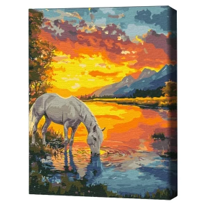 Pictură pe numere 40х50 cm (în cutie)  – un cal în zori