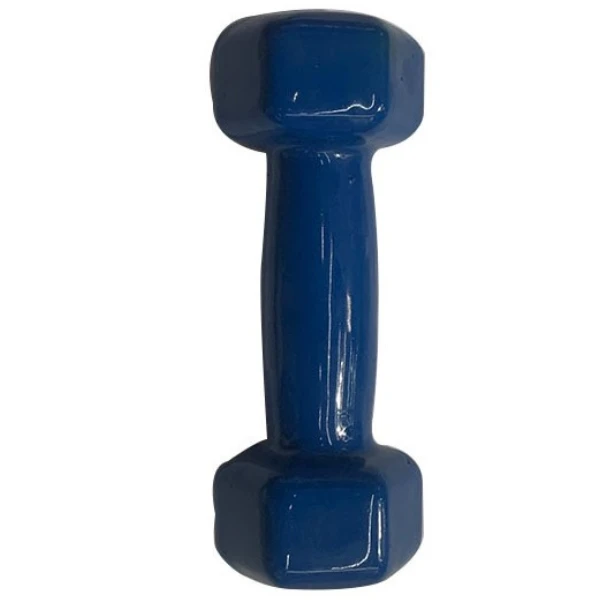 Ganteră pentru fitness,1 buc * 1 kg 2