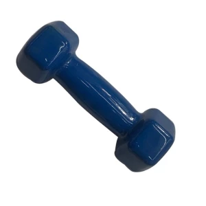 Ganteră pentru fitness,1 buc * 1 kg