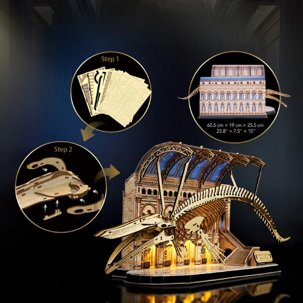 3d puzzle "muzeul de științe naturale – balena albastră" cu iluminare led, 222 elem. 5