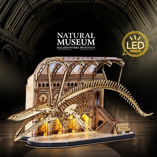3d puzzle "muzeul de științe naturale – balena albastră" cu iluminare led, 222 elem. 6