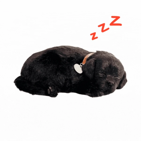 Cățeluș „labrador negru” cu imitație de respirație 2