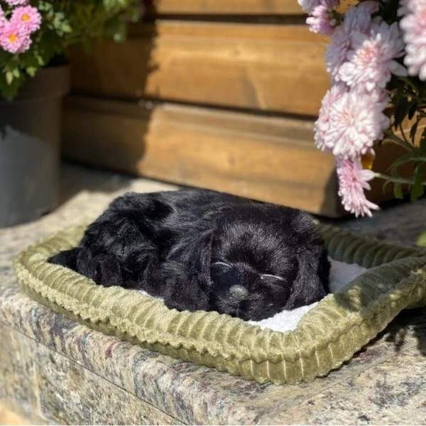 Cățeluș „labrador negru” cu imitație de respirație 8