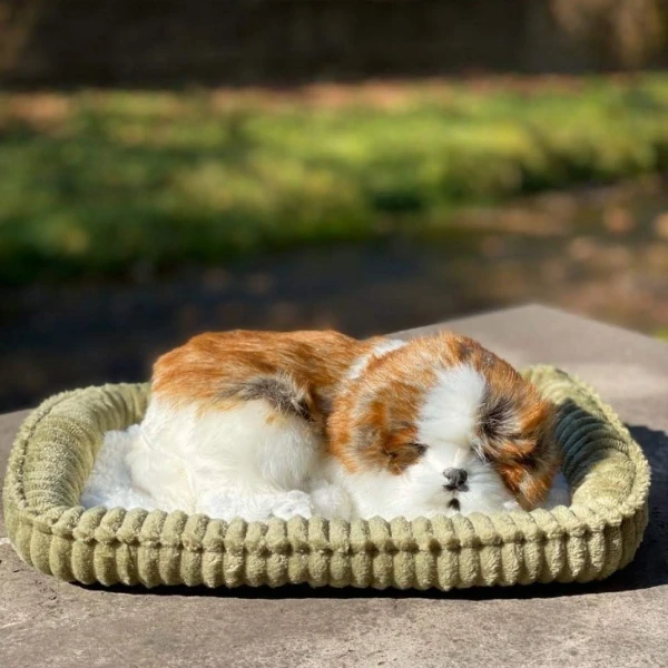 Cățeluș „shih tzu” cu imitație de respirație 7