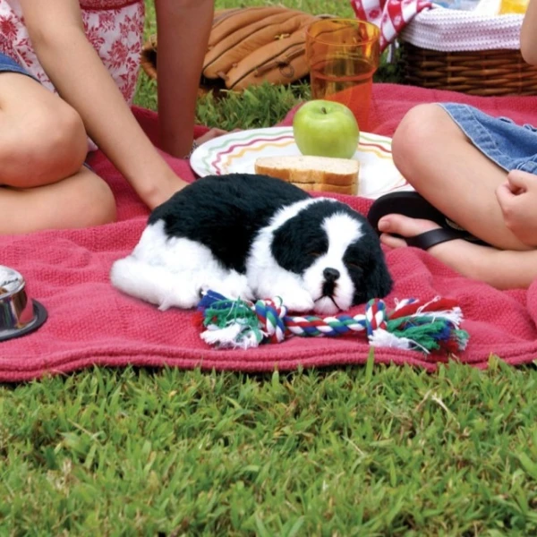 Cățeluș „border collie” cu imitație de respirație 10