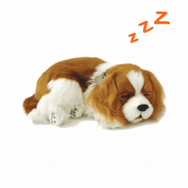 Cățeluș "cavalier king charles” cu imitație de respirație 2