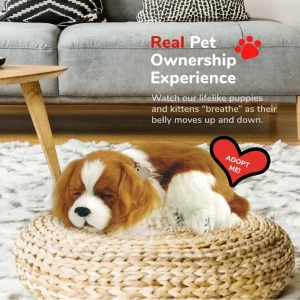 Cățeluș "cavalier king charles” cu imitație de respirație Thumbnail 7