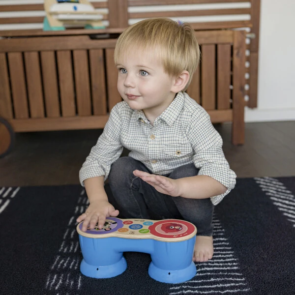 Toba magica baby einstein 8