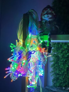 GHIRLANDA DECORATIVA LED – 240 BECURI, 3x2M, MULTICOLORE (CP-24-104)