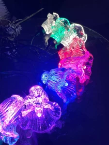 GHIRLANDA DECORATIVA LED  – 10 BECURI, 5M, MULTICOLORE (CP-24-117)