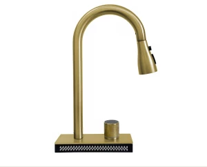 Смеситель для кухни с душем SanDonna ASTER (Золотистый)