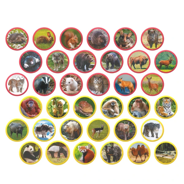 Joc magnetic "animalele eurasiei", 36 elem. 2