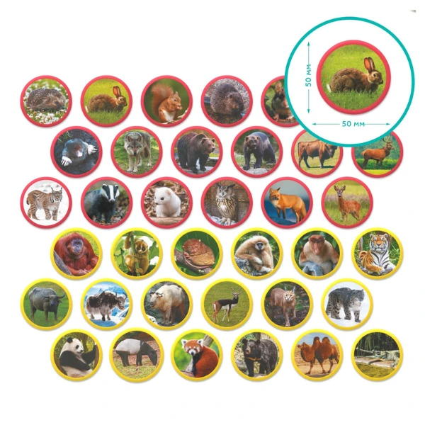 Joc magnetic "animalele eurasiei", 36 elem. 4