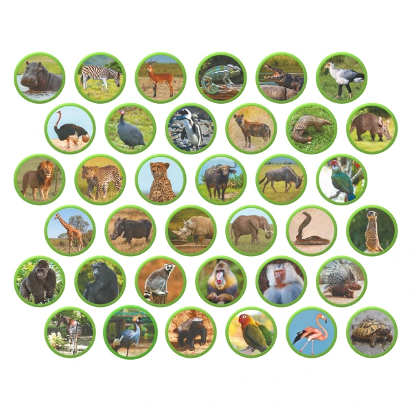 Joc magnetic "animalele africii", 36 elem. 2