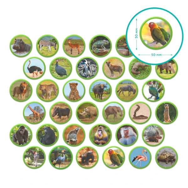 Joc magnetic "animalele africii", 36 elem. 4