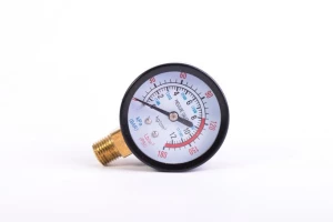 Манометр для гидрофора Micul Fermier (Радиалный)