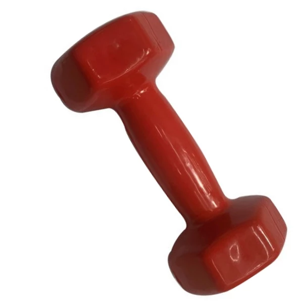 Ganteră pentru fitness,1 buc * 2 kg 2