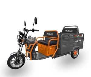 Трёхколёсный электроскутер Weter 1200 TR Transformer