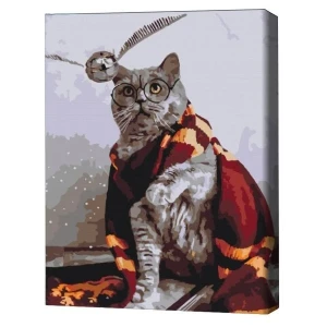 Pictură pe numere 40*50 cm (în cutie) – pisicuța vânătoare de snitch