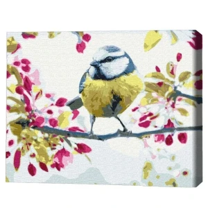 Pictură pe numere 30*40 сm (fără cutie) – pițigoi de primăvară