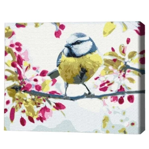 Pictură pe numere 30*40 сm (fără cutie) – pițigoi de primăvară