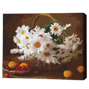 Pictură pe numere 30*40 сm (fără cutie) – margarete sălbatice