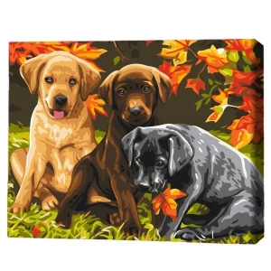 Pictură pe numere 30*40 сm (fără cutie) – trei căței