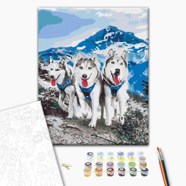 Pictură pe numere 30*40 сm (fără cutie) – prietenii husky 2