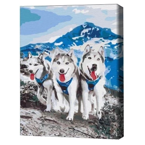 Pictură pe numere 30*40 сm (fără cutie) – prietenii husky
