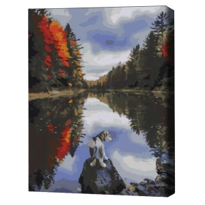 Pictură pe numere 40*50 cm (în cutie) – căţelul de lângă lac Thumbnail 2