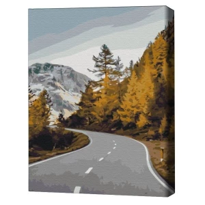 Pictură pe numere 40х50 cm (fără cutie) – drum peisagistic.