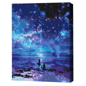 Pictură pe numere 40х50 cm (fără cutie) – faleza nocturnă.