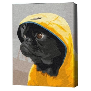 Pictură pe numere 30*40 сm (fără cutie) – Pug în capotă