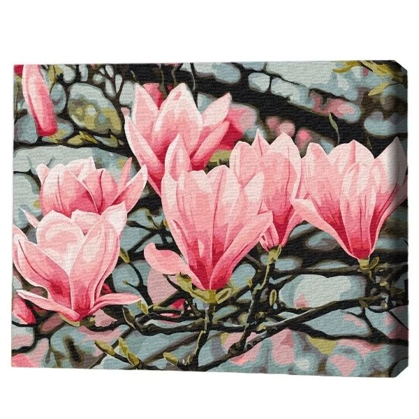 Pictură pe numere 30*40 сm (fără cutie) –  floare de magnolie 2