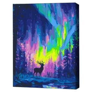 Pictură pe numere 40*50 cm (în cutie) – aurora polară.