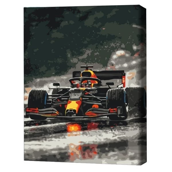 Pictură pe numere 40*50 cm (în cutie) – formula adrenalinei. 2
